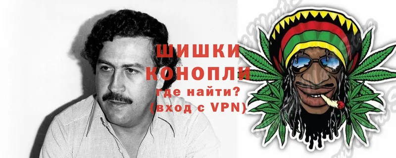 где можно купить   Пушкино  Марихуана Ganja 